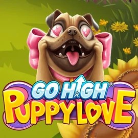 Go High Puppy Love by RubyPlay, showcased at roulettino-casino.eu – game logo