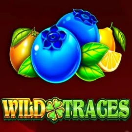 Wild Traces online slot from Amusnet Interactive – play at roulettino-casino.eu